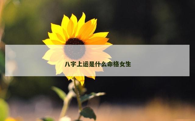八字上运是什么命格女生