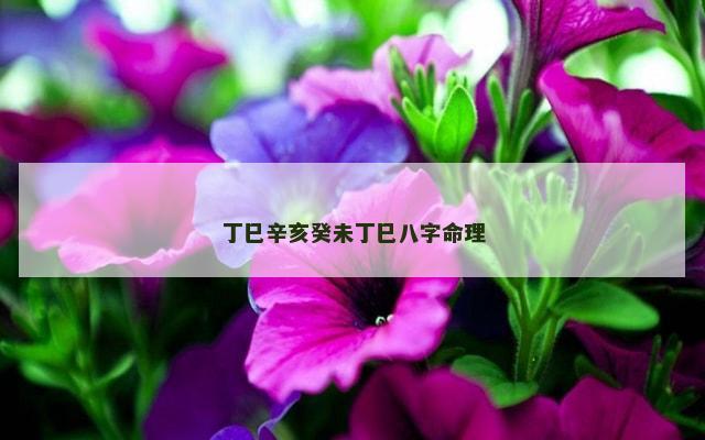 丁巳辛亥癸未丁巳八字命理