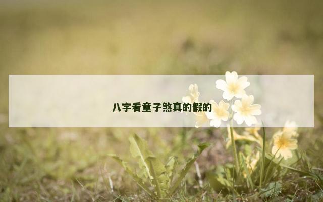 八字看童子煞真的假的
