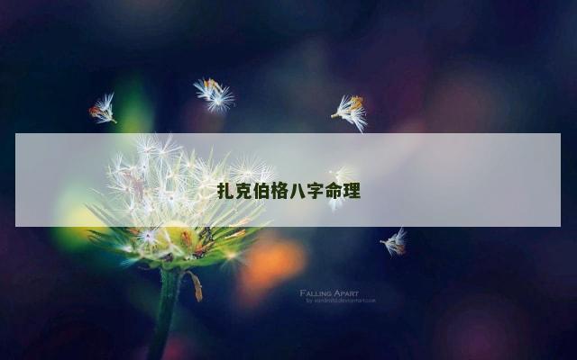 扎克伯格八字命理