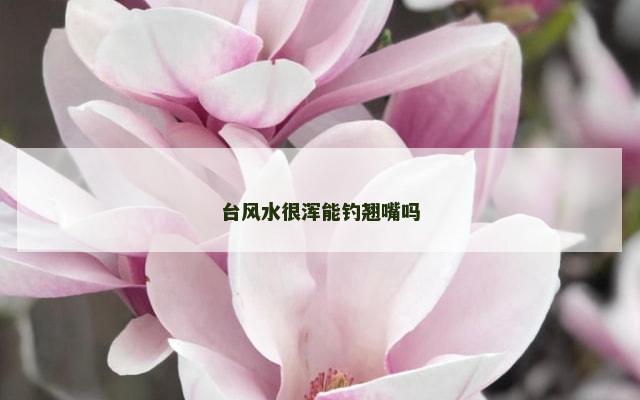 台风水很浑能钓翘嘴吗