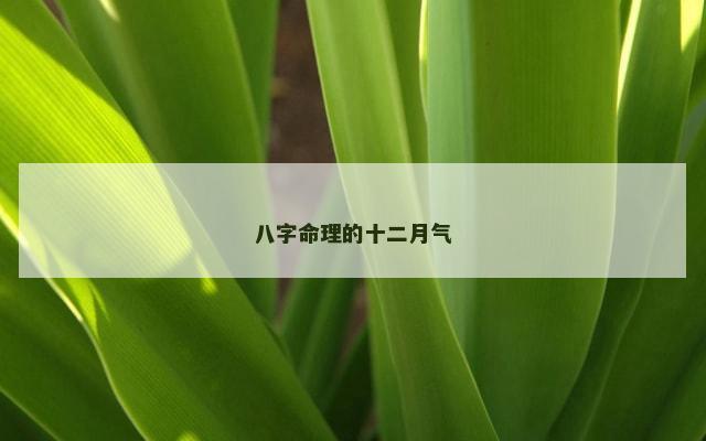 八字命理的十二月气