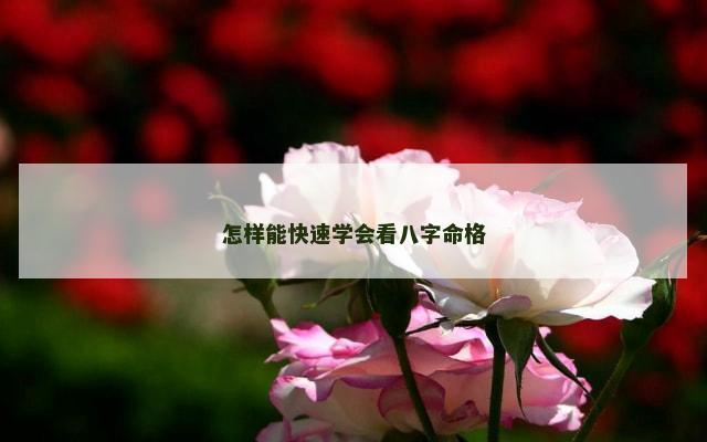 怎样能快速学会看八字命格
