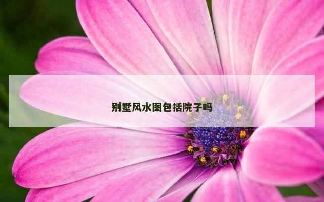 别墅风水图包括院子吗