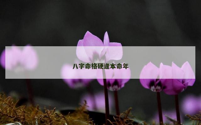 八字命格硬逢本命年
