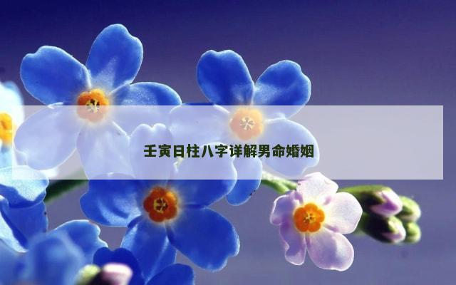 壬寅日柱八字详解男命婚姻
