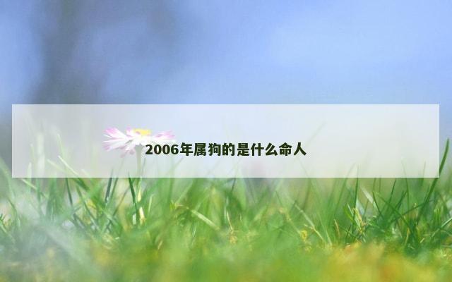 2006年属狗的是什么命人