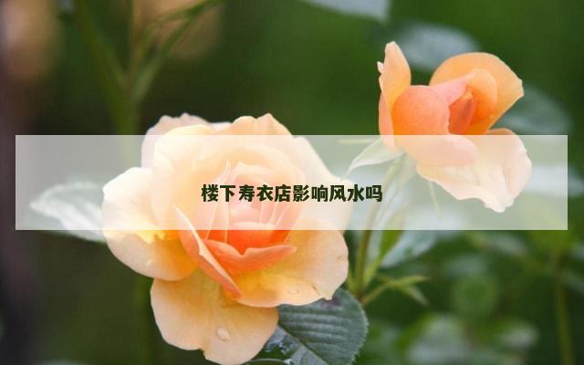 楼下寿衣店影响风水吗