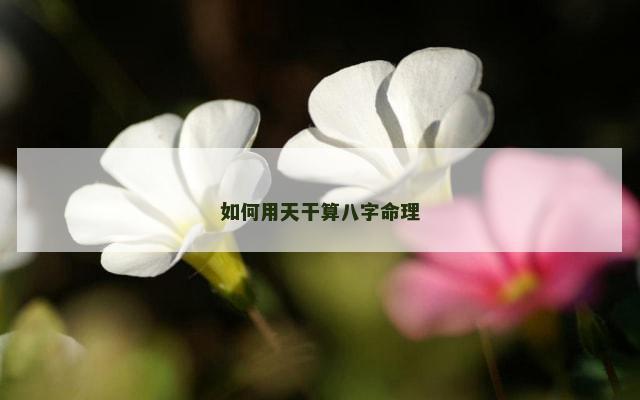 如何用天干算八字命理