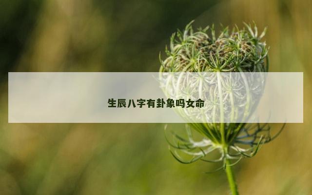 生辰八字有卦象吗女命
