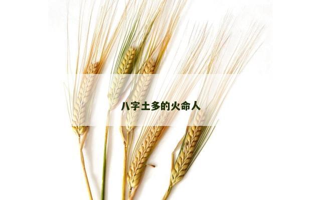 八字土多的火命人
