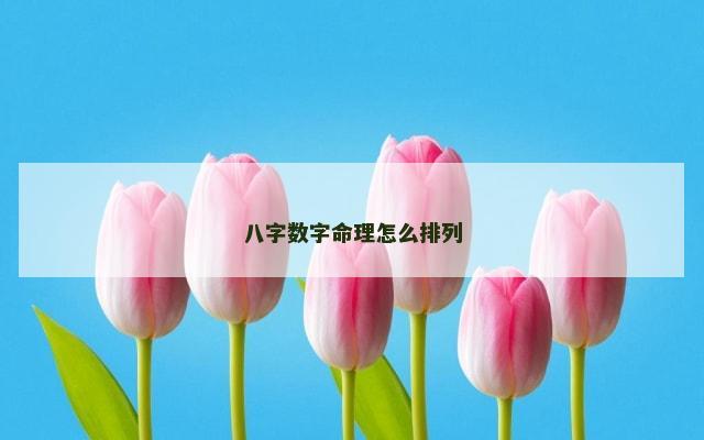 八字数字命理怎么排列