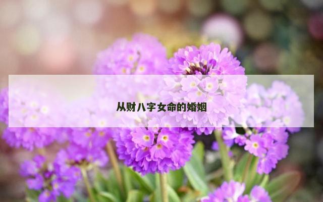 从财八字女命的婚姻
