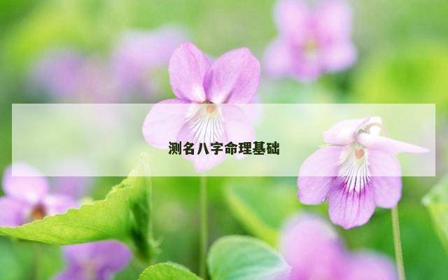 测名八字命理基础