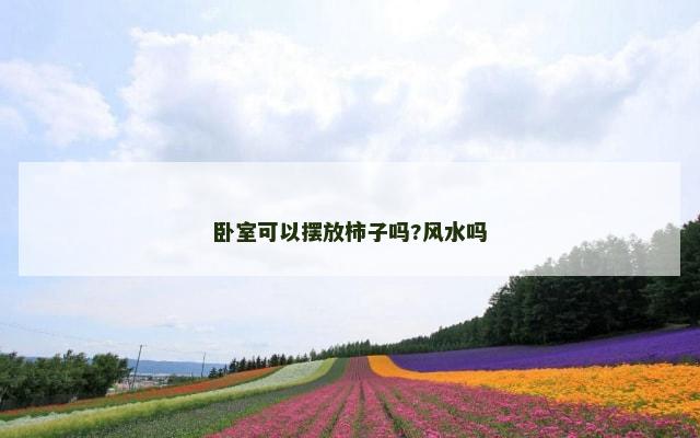 卧室可以摆放柿子吗?风水吗