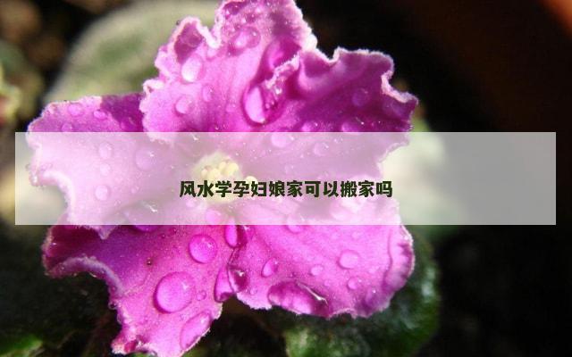 风水学孕妇娘家可以搬家吗
