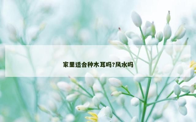 家里适合种木耳吗?风水吗