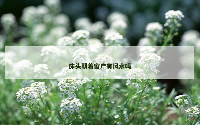 床头朝着窗户有风水吗