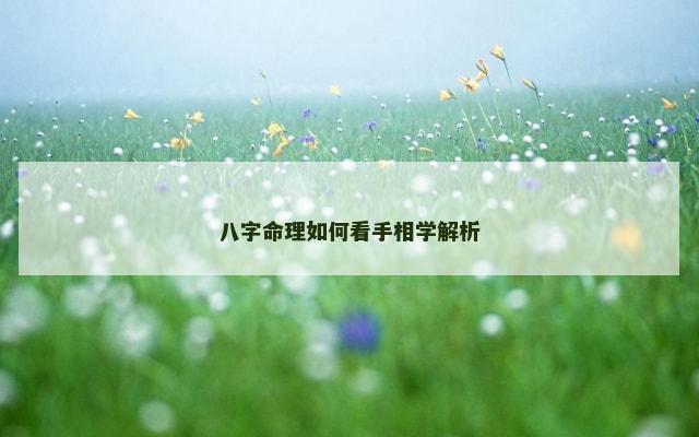 八字命理如何看手相学解析