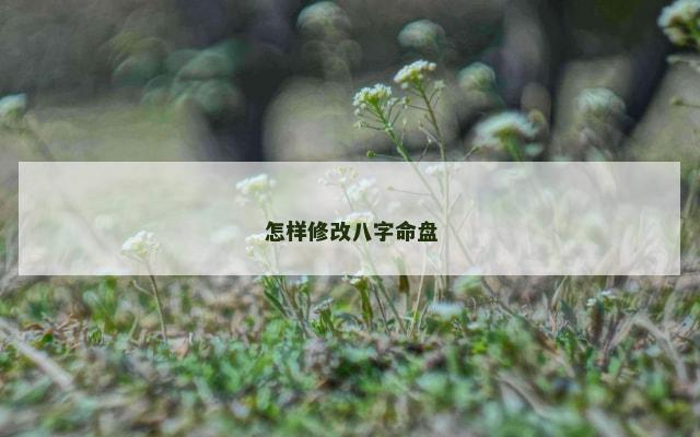 怎样修改八字命盘
