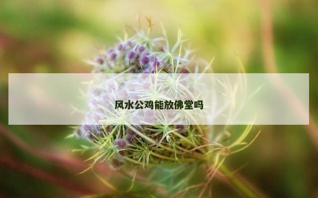 风水公鸡能放佛堂吗