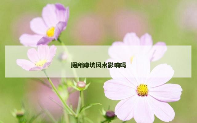 厕所蹲坑风水影响吗