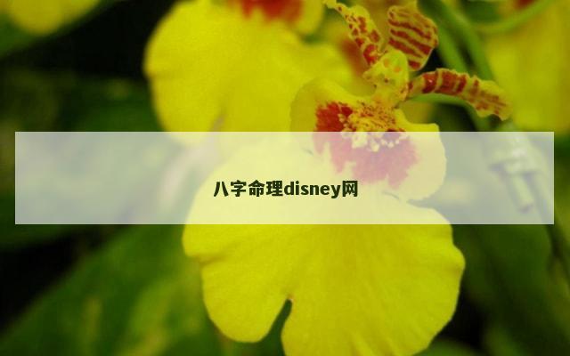八字命理disney网