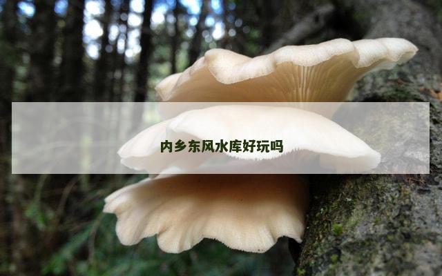内乡东风水库好玩吗