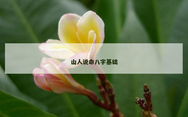 山人说命八字基础