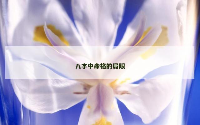八字中命格的局限
