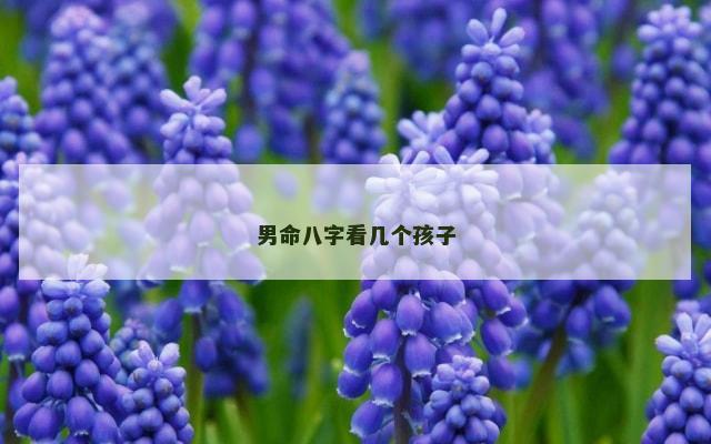 男命八字看几个孩子