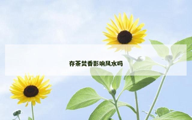 存茶焚香影响风水吗