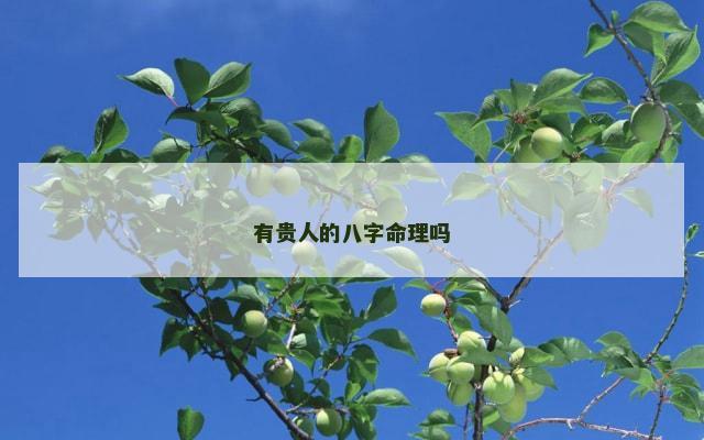 有贵人的八字命理吗