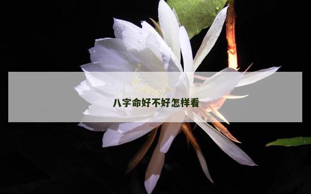 八字命好不好怎样看