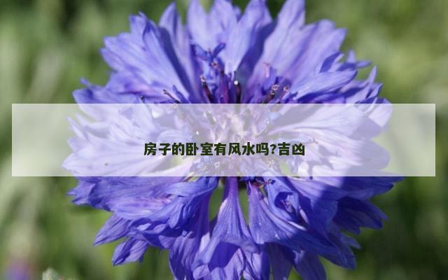 房子的卧室有风水吗?吉凶
