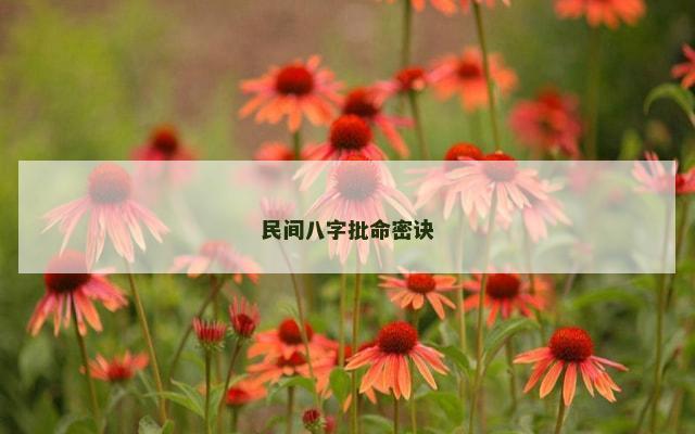 民间八字批命密诀