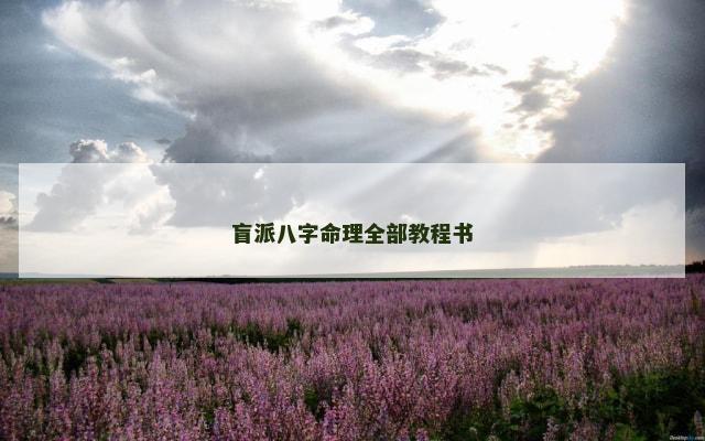 盲派八字命理全部教程书