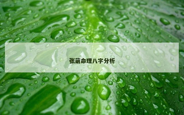 张萌命理八字分析