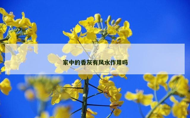 家中的香灰有风水作用吗