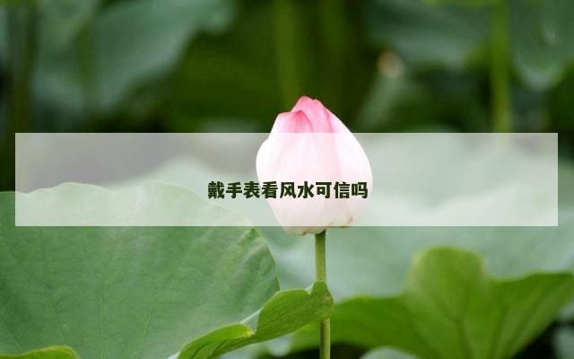 戴手表看风水可信吗