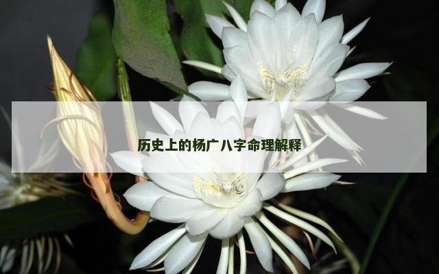 历史上的杨广八字命理解释