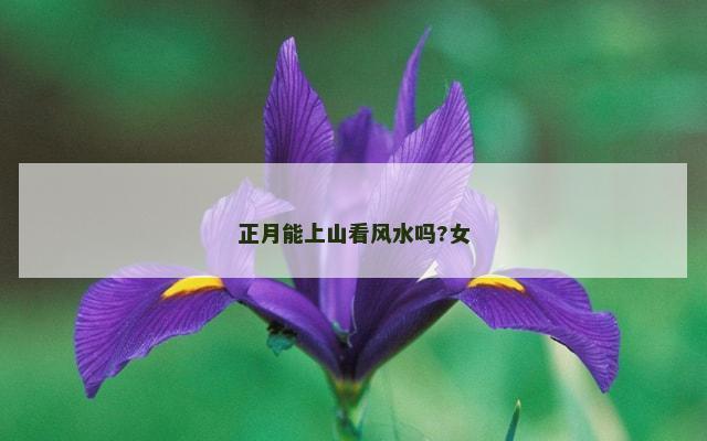 正月能上山看风水吗?女