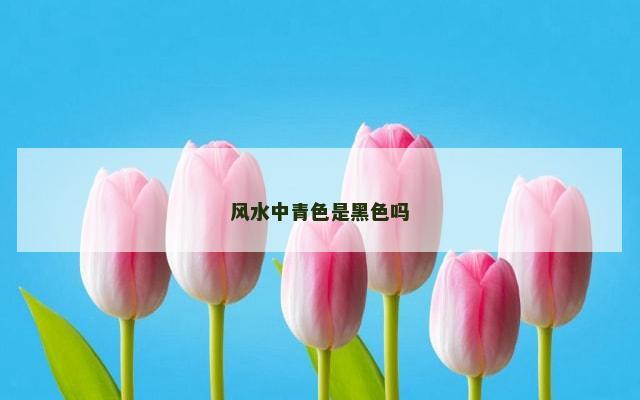 风水中青色是黑色吗