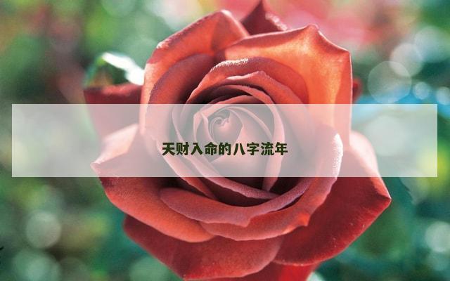 天财入命的八字流年