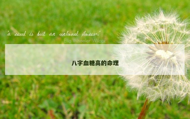 八字血糖高的命理