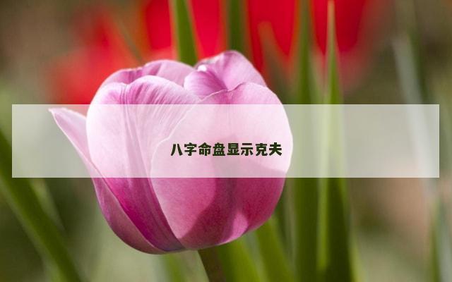 八字命盘显示克夫