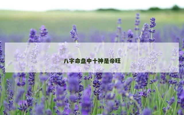八字命盘中十神是帝旺