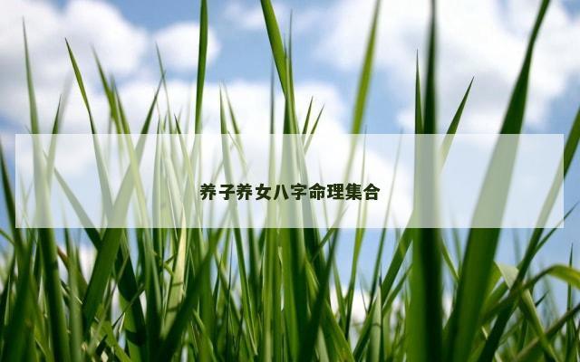 养子养女八字命理集合
