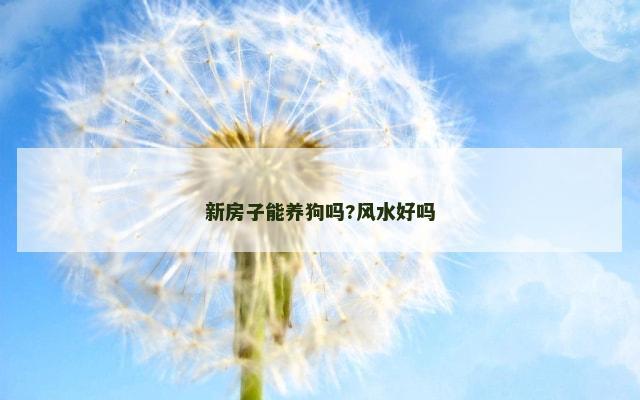 新房子能养狗吗?风水好吗