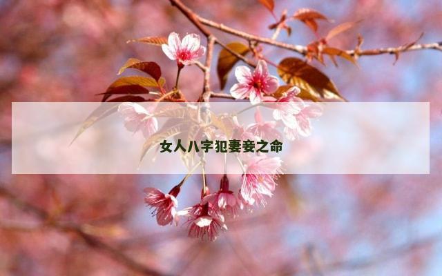女人八字犯妻妾之命